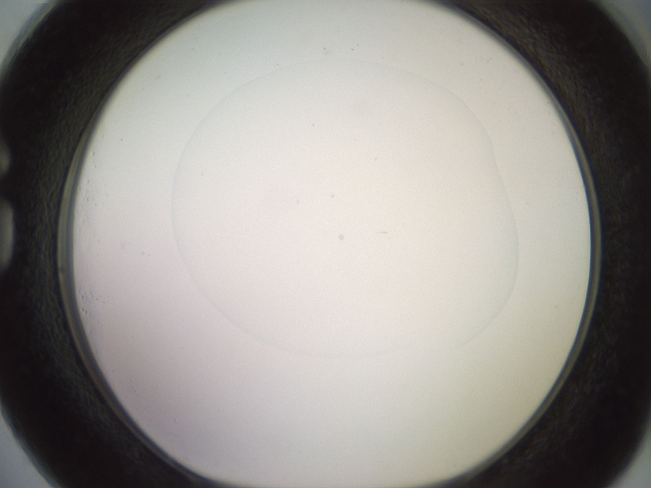 folderID417_plateID2417_batchID11657_wellNum73_profileID1_d1_r179144_ef.jpg