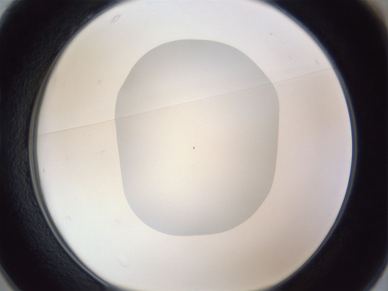 folderID19_plateID1019_batchID1884_wellNum25_profileID1_d1_r42812_ef.jpg