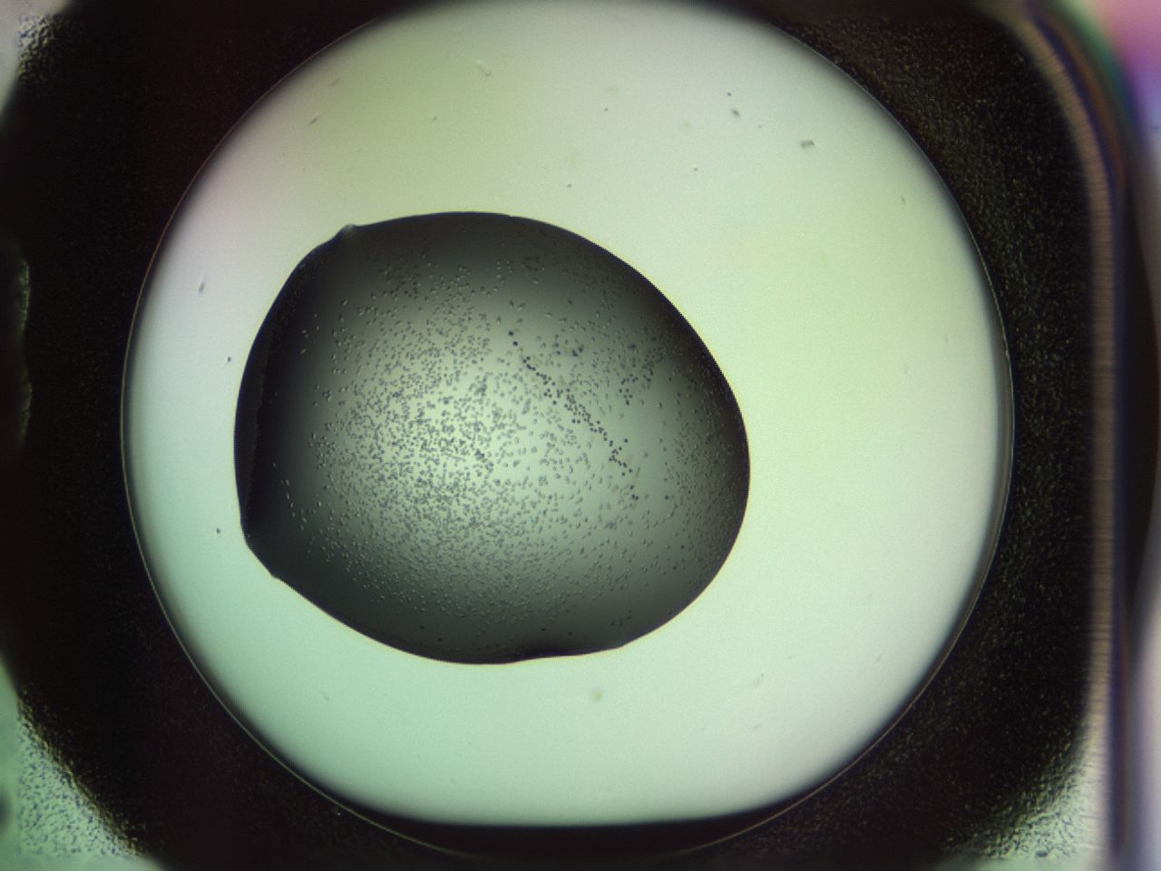 02my_B5_ImagerDefaults_6.jpg