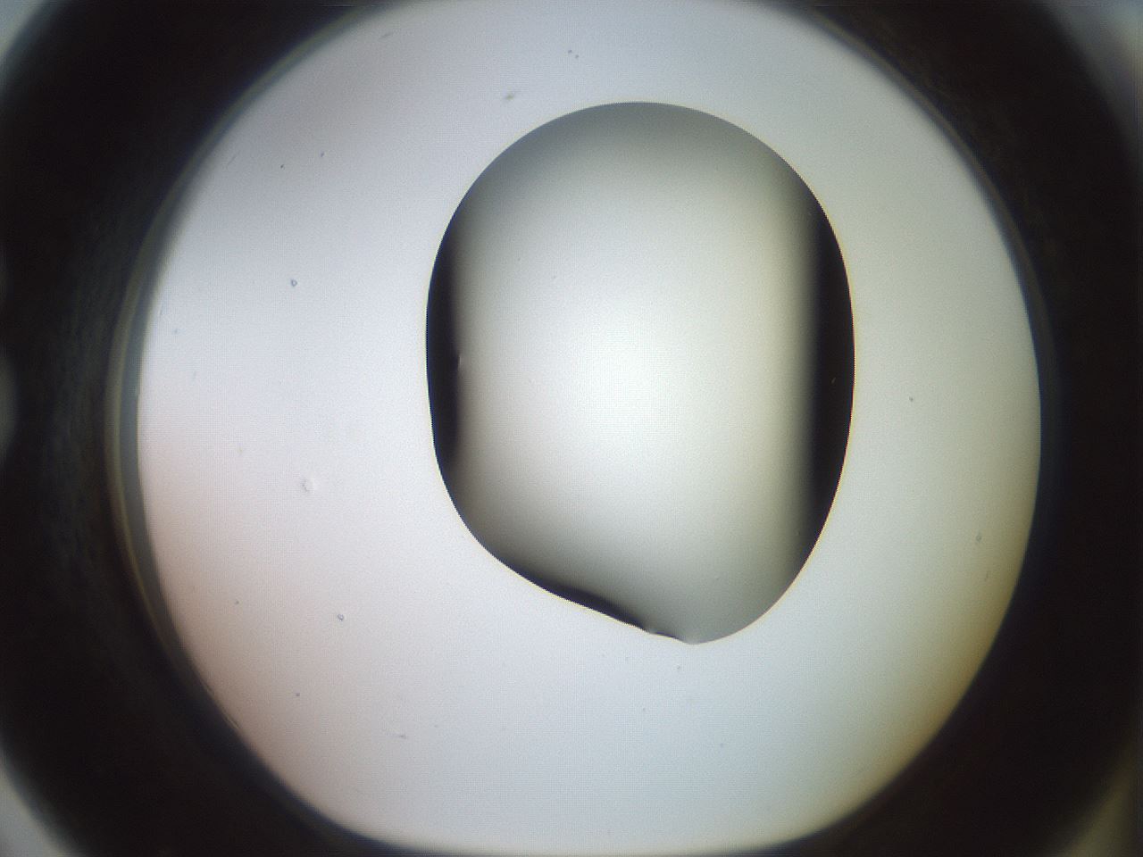 folderID417_plateID2417_batchID11657_wellNum79_profileID1_d1_r179150_ef.jpg