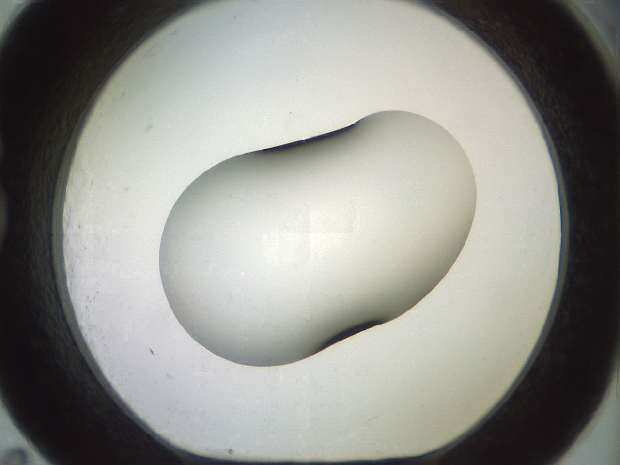 folderID417_plateID2417_batchID11657_wellNum83_profileID1_d1_r179154_ef.jpg