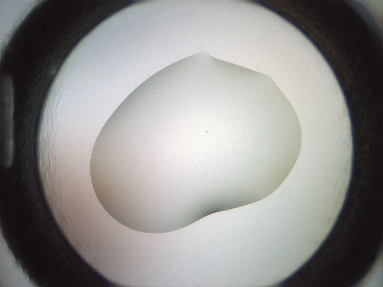 folderID417_plateID2417_batchID11657_wellNum86_profileID1_d1_r179157_ef.jpg
