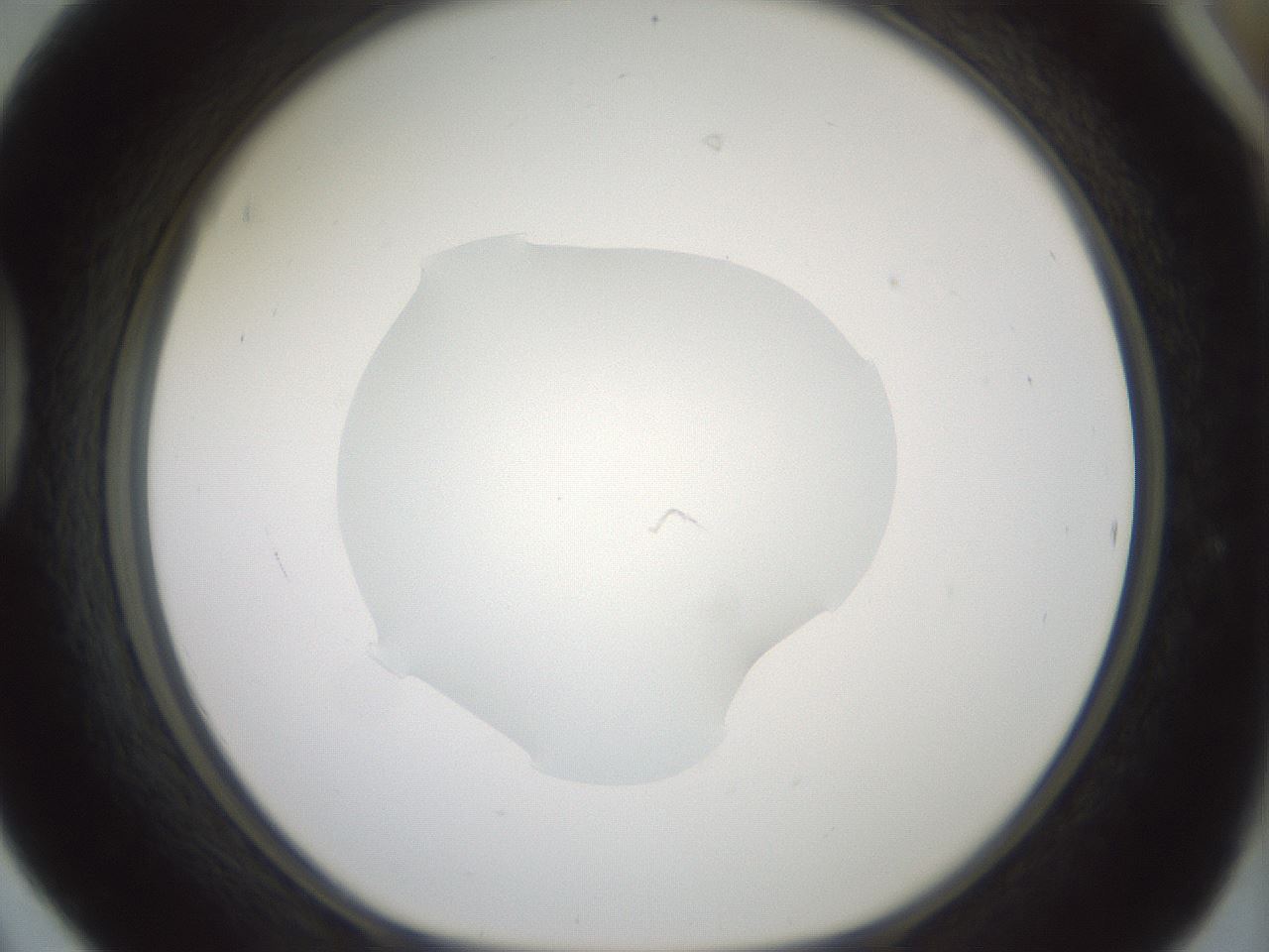 folderID418_plateID1418_batchID5195_wellNum42_profileID1_d1_r87227_ef.jpg