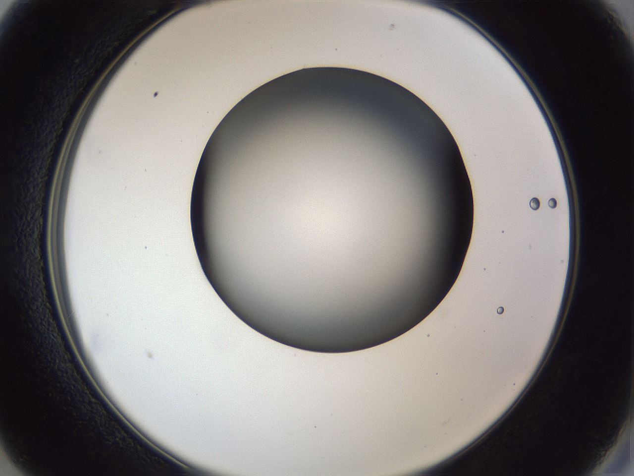 folderID41_plateID1041_batchID2098_wellNum13_profileID1_d2_r45409_ef.jpg