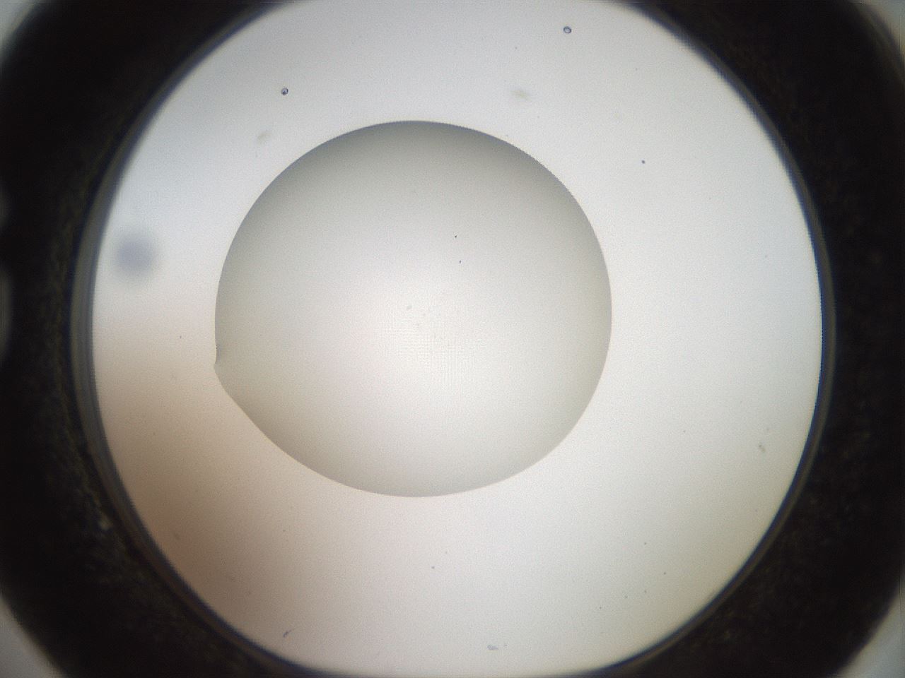 folderID41_plateID2041_batchID9006_wellNum74_profileID1_d1_r137417_ef.jpg