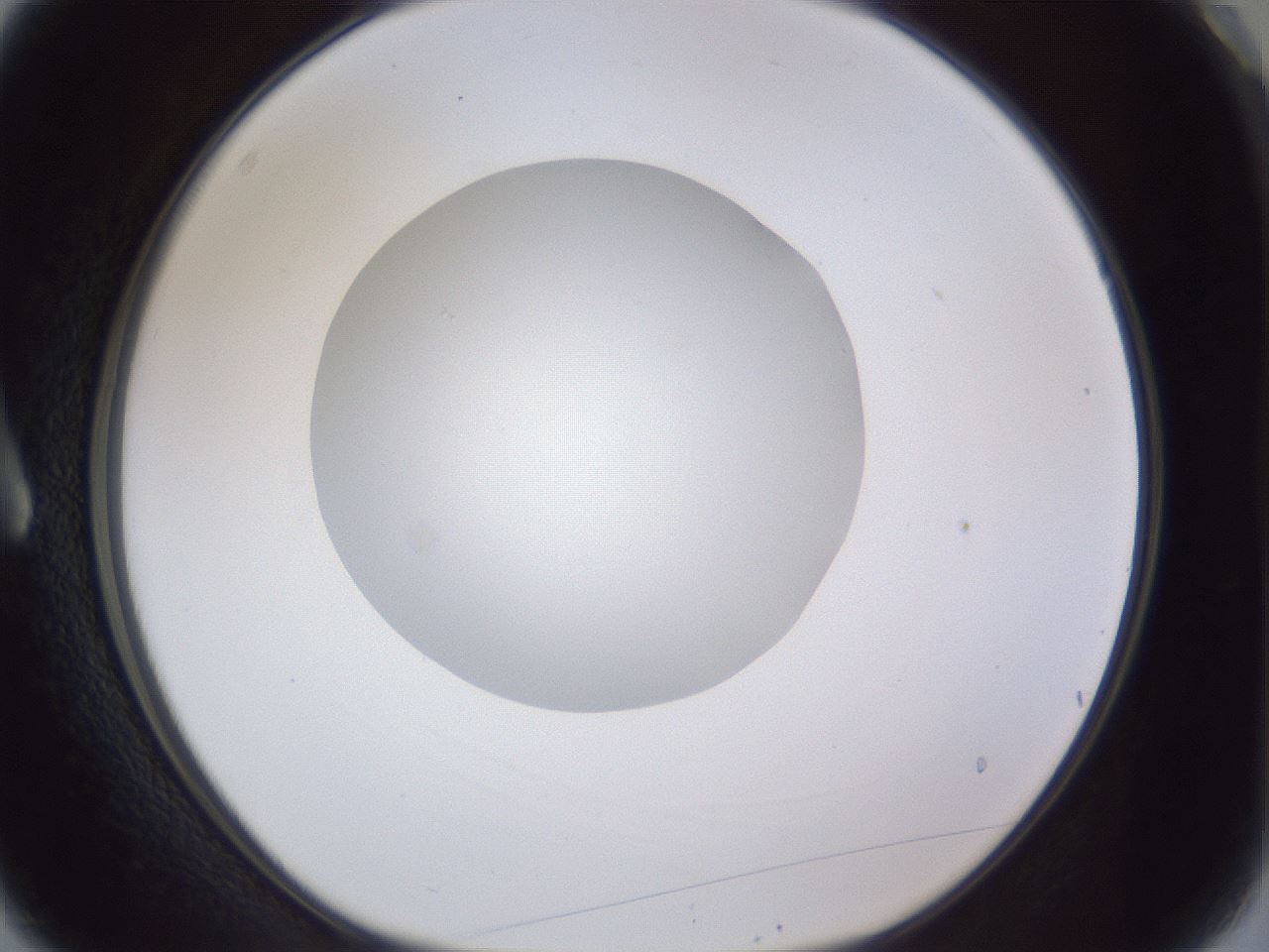 folderID19_plateID1019_batchID1884_wellNum3_profileID1_d1_r42790_ef.jpg
