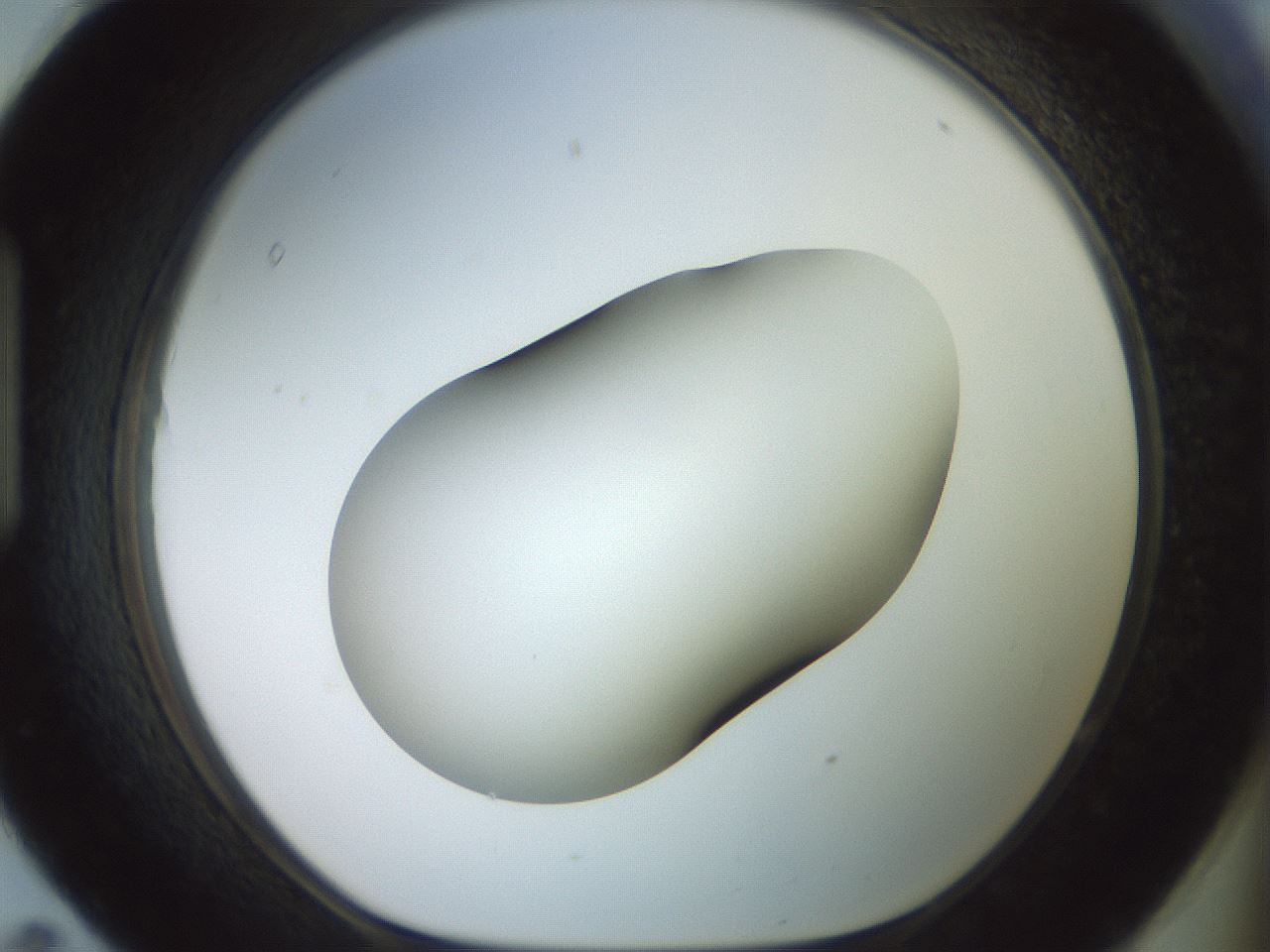 folderID417_plateID2417_batchID11657_wellNum95_profileID1_d1_r179166_ef.jpg