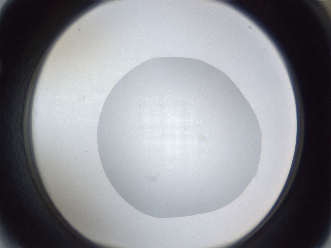 folderID19_plateID1019_batchID1884_wellNum64_profileID1_d1_r42851_ef.jpg