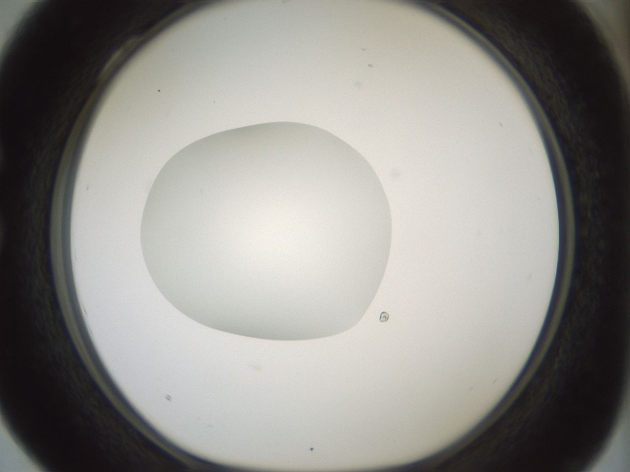 folderID418_plateID1418_batchID5195_wellNum28_profileID1_d1_r87213_ef.jpg