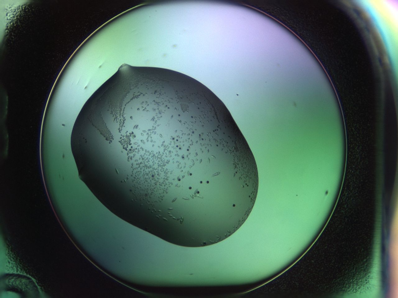 02my_B12_ImagerDefaults_9.jpg