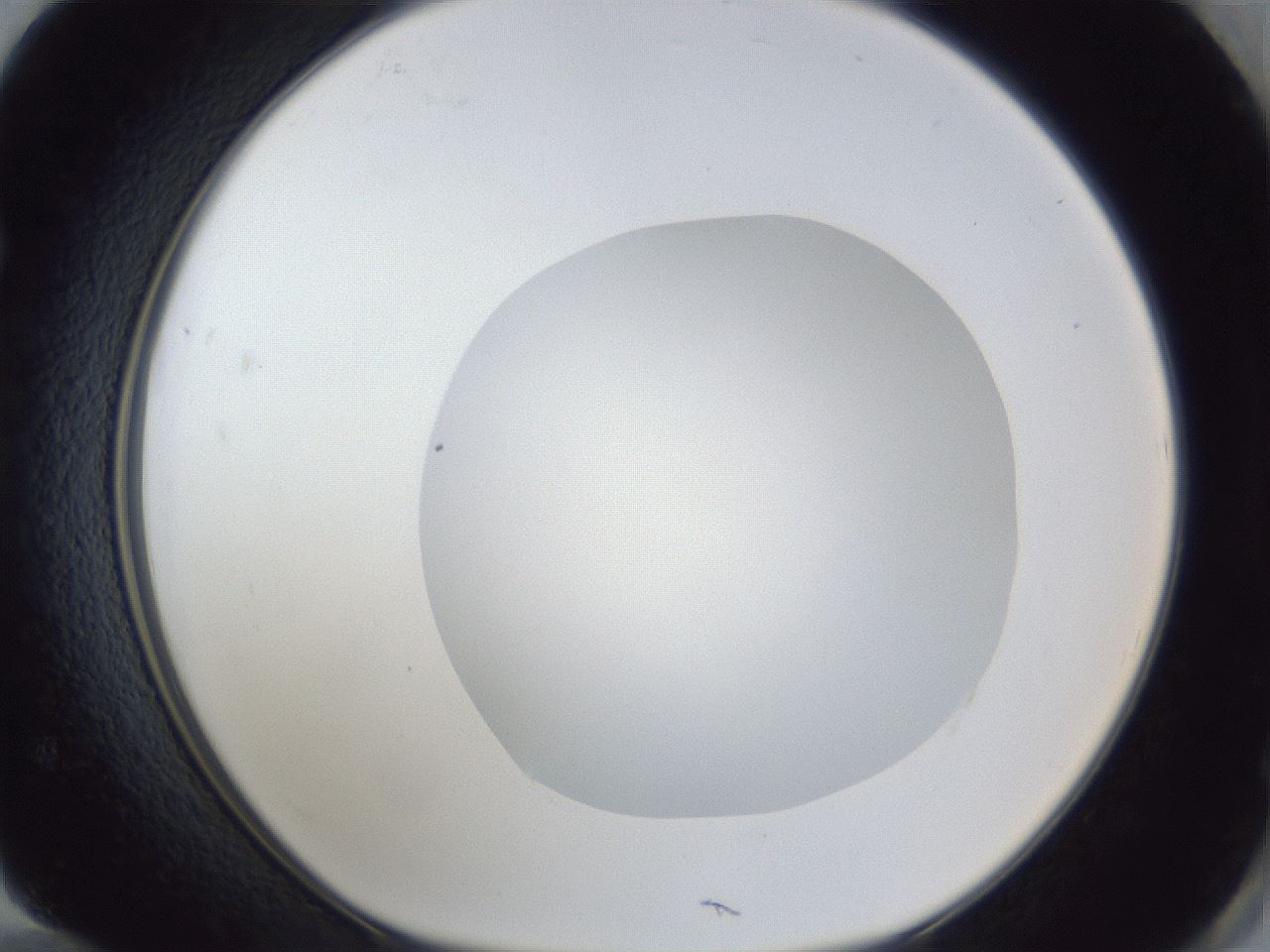 folderID19_plateID1019_batchID1884_wellNum72_profileID1_d1_r42859_ef.jpg