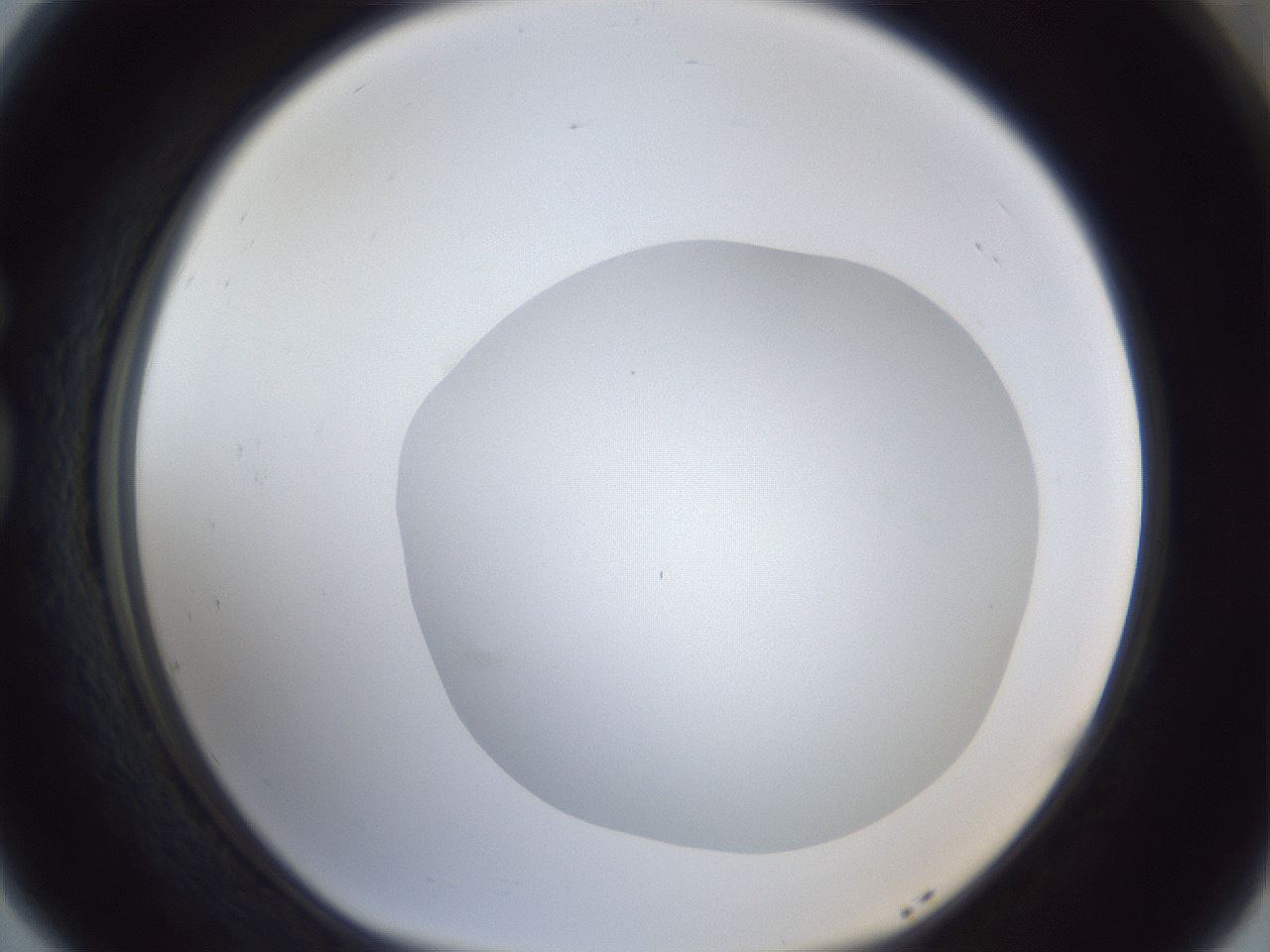 folderID19_plateID1019_batchID1884_wellNum77_profileID1_d1_r42864_ef.jpg