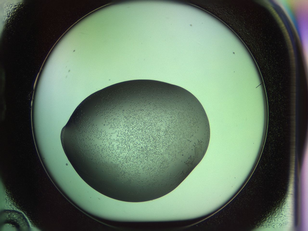 02my_B10_ImagerDefaults_6.jpg