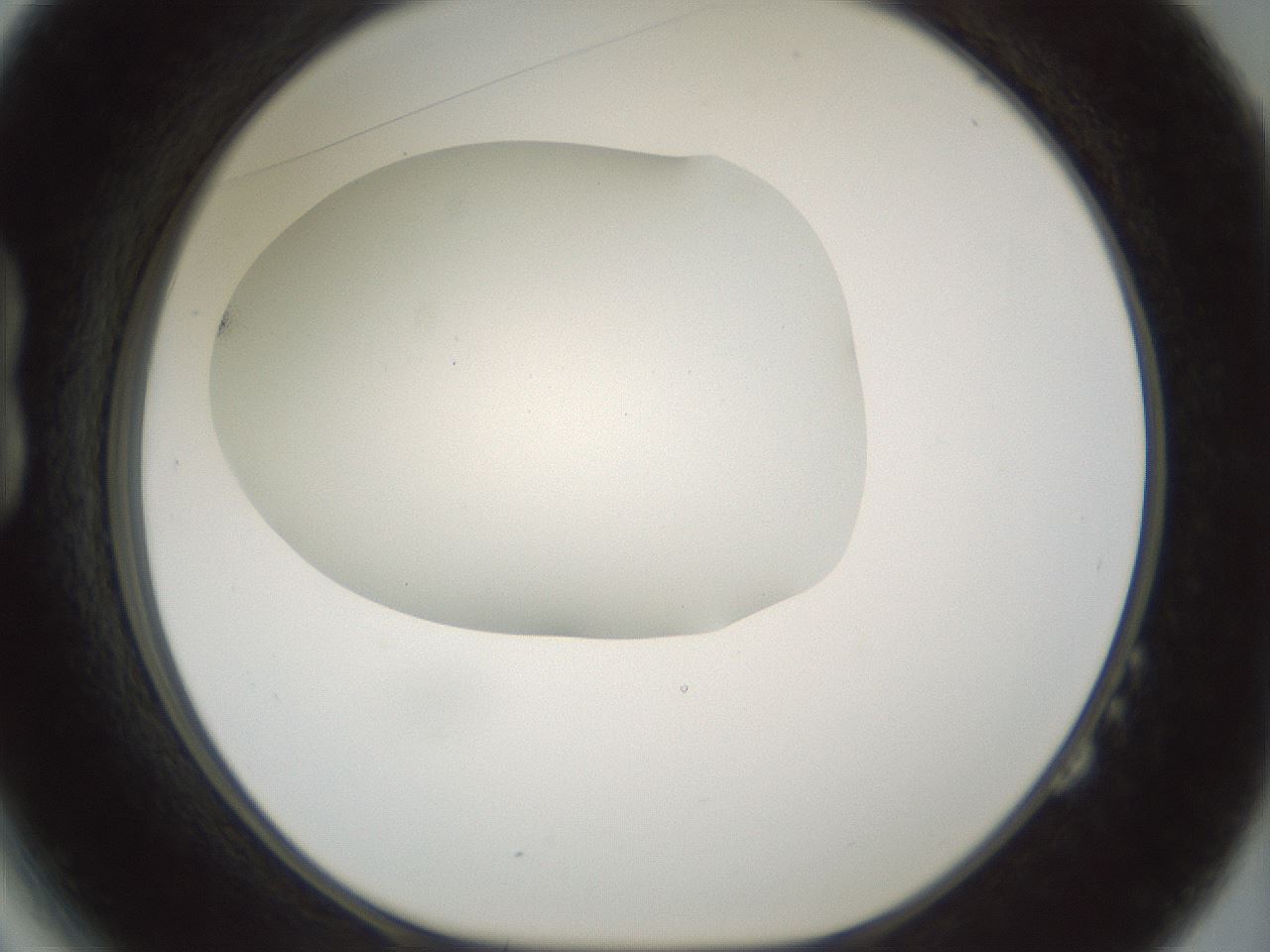 folderID200_plateID1200_batchID3525_wellNum14_profileID1_d1_r66380_ef.jpg