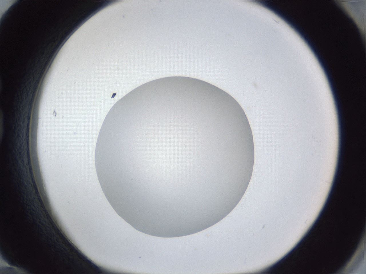 folderID19_plateID1019_batchID1884_wellNum84_profileID1_d1_r42871_ef.jpg