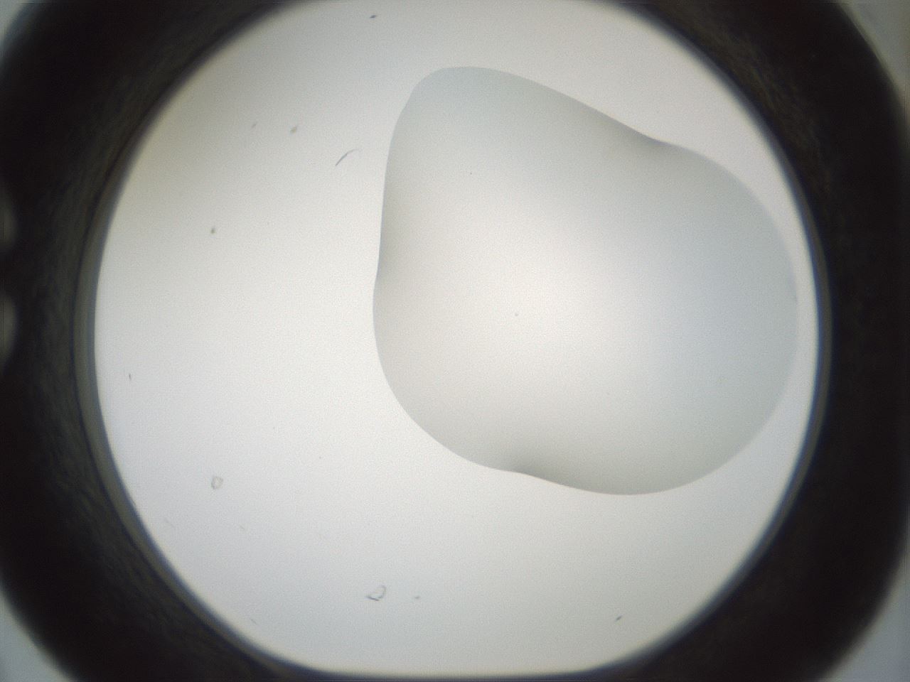 folderID200_plateID1200_batchID3525_wellNum30_profileID1_d1_r66396_ef.jpg