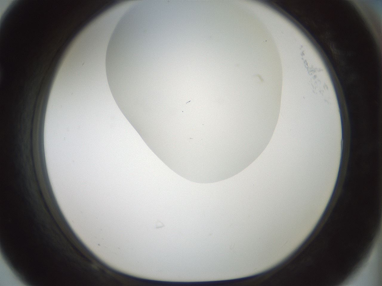 folderID200_plateID1200_batchID3525_wellNum68_profileID1_d1_r66434_ef.jpg