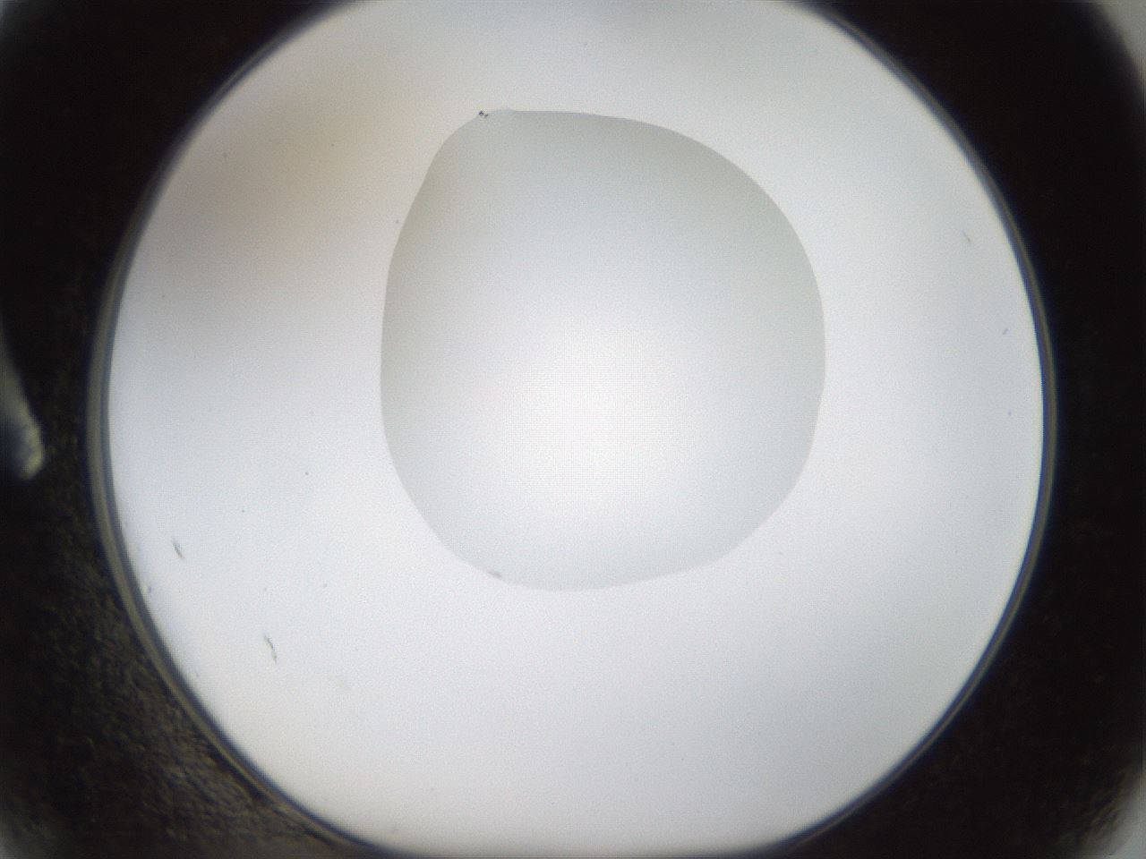 folderID20_plateID1020_batchID1883_wellNum2_profileID1_d1_r42693_ef.jpg
