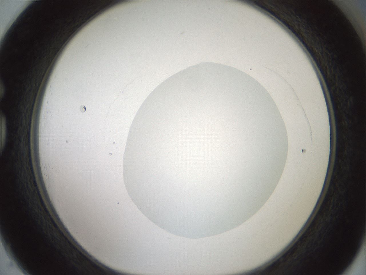 folderID418_plateID1418_batchID5195_wellNum73_profileID1_d1_r87258_ef.jpg