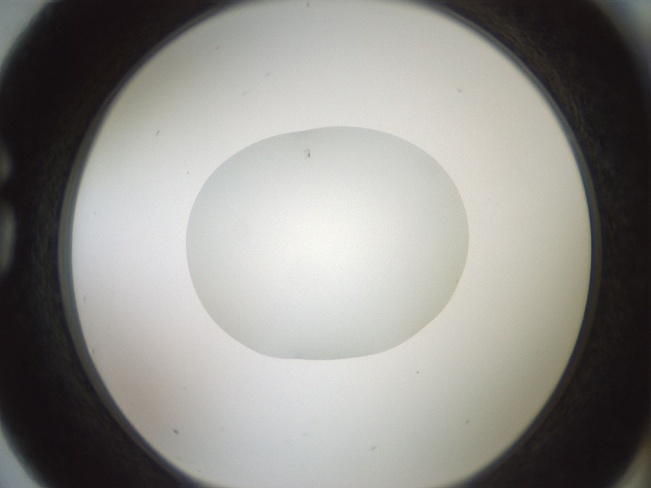 folderID418_plateID1418_batchID5195_wellNum75_profileID1_d1_r87260_ef.jpg