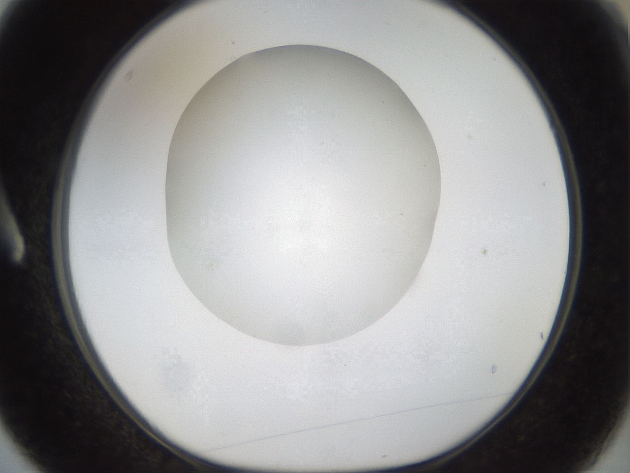 folderID20_plateID1020_batchID1883_wellNum3_profileID1_d1_r42694_ef.jpg