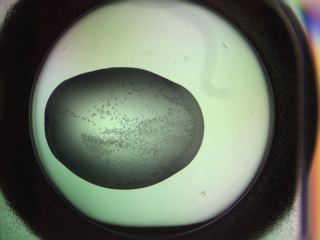 02my_D4_ImagerDefaults_9.jpg