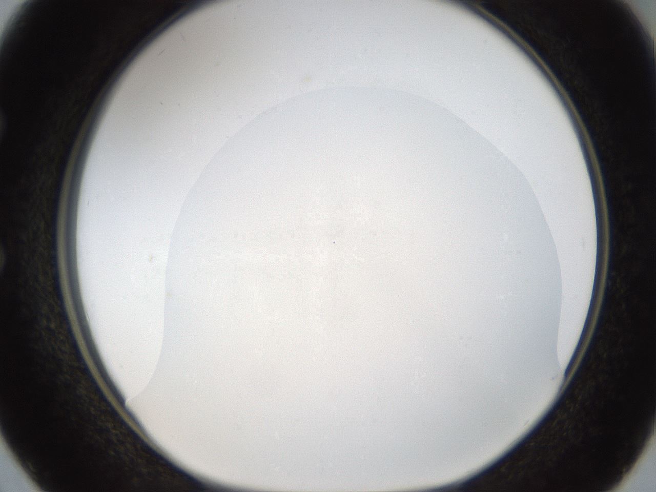 folderID20_plateID1020_batchID1883_wellNum50_profileID1_d1_r42741_ef.jpg