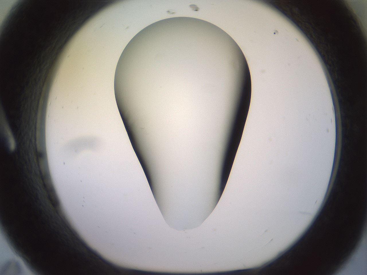 folderID418_plateID2418_batchID11659_wellNum11_profileID1_d1_r179274_ef.jpg