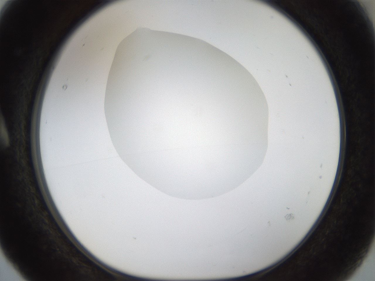 folderID20_plateID1020_batchID1883_wellNum5_profileID1_d1_r42696_ef.jpg