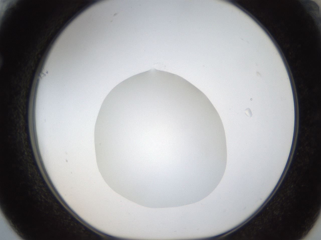 folderID20_plateID1020_batchID1883_wellNum61_profileID1_d1_r42752_ef.jpg