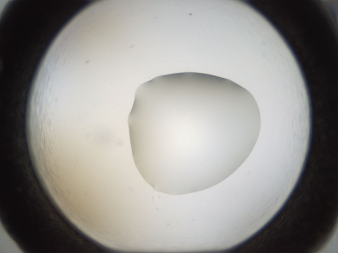 folderID20_plateID1020_batchID1883_wellNum65_profileID1_d1_r42756_ef.jpg
