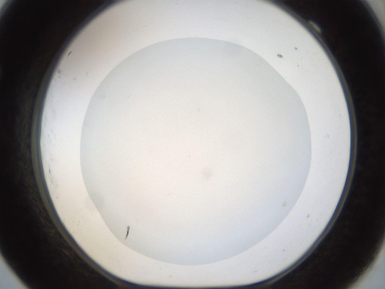 folderID20_plateID1020_batchID1883_wellNum69_profileID1_d1_r42760_ef.jpg