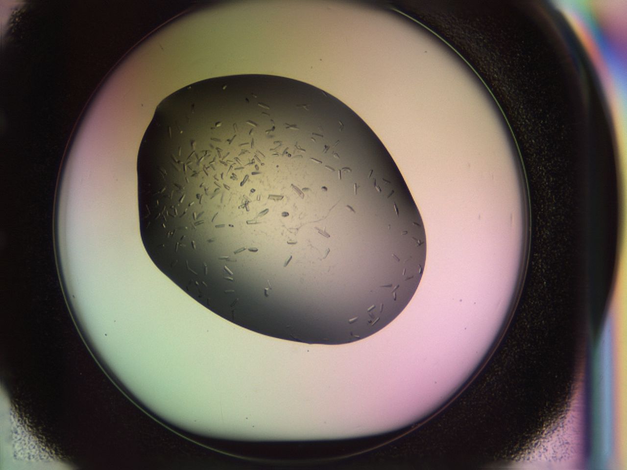 02my_E2_ImagerDefaults_9.jpg