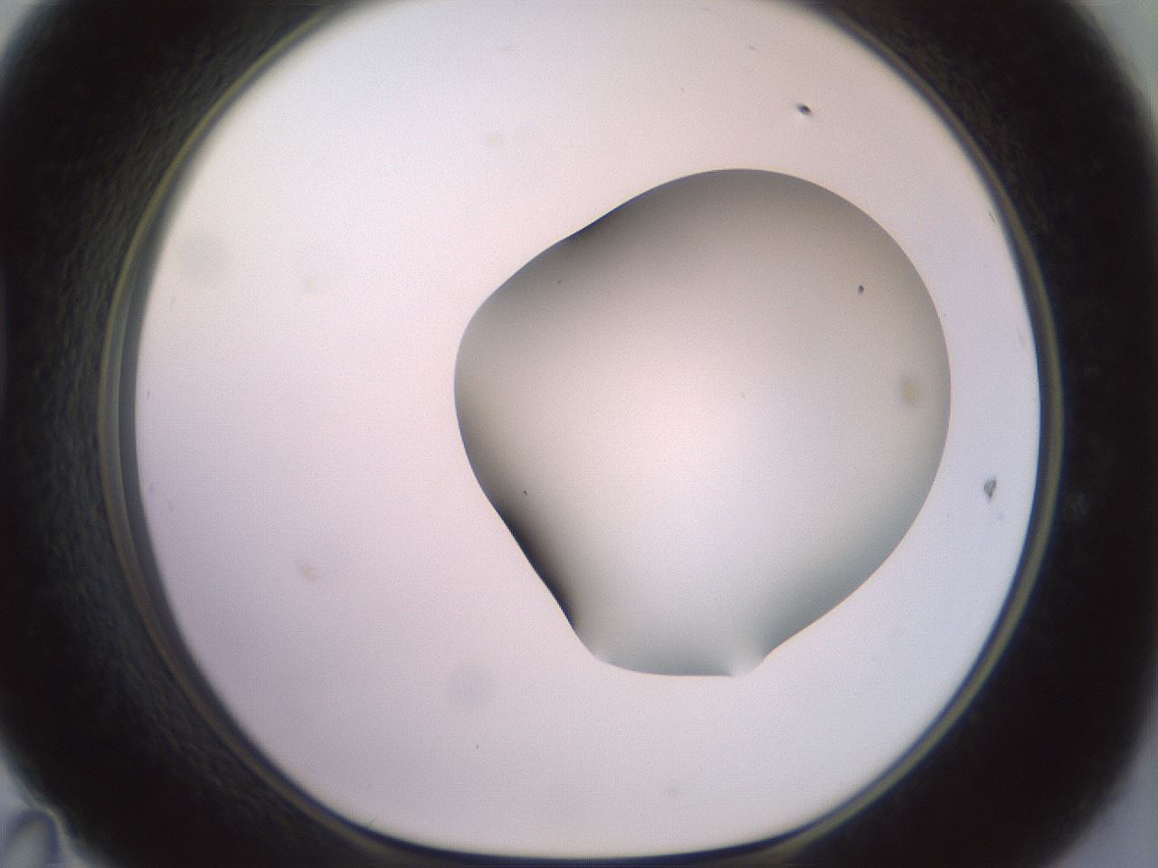 folderID418_plateID2418_batchID11659_wellNum47_profileID1_d1_r179310_ef.jpg