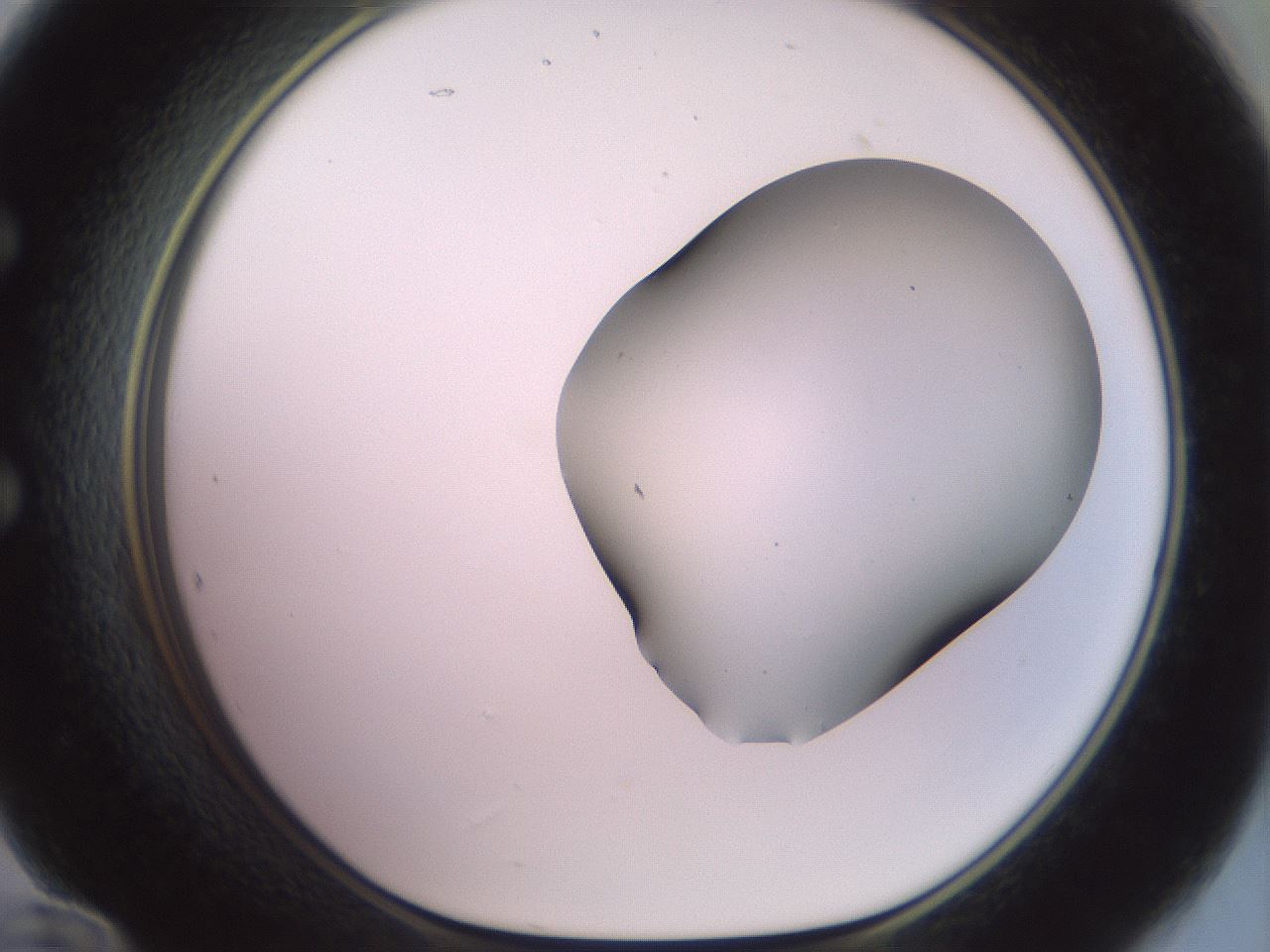 folderID418_plateID2418_batchID11659_wellNum60_profileID1_d1_r179323_ef.jpg