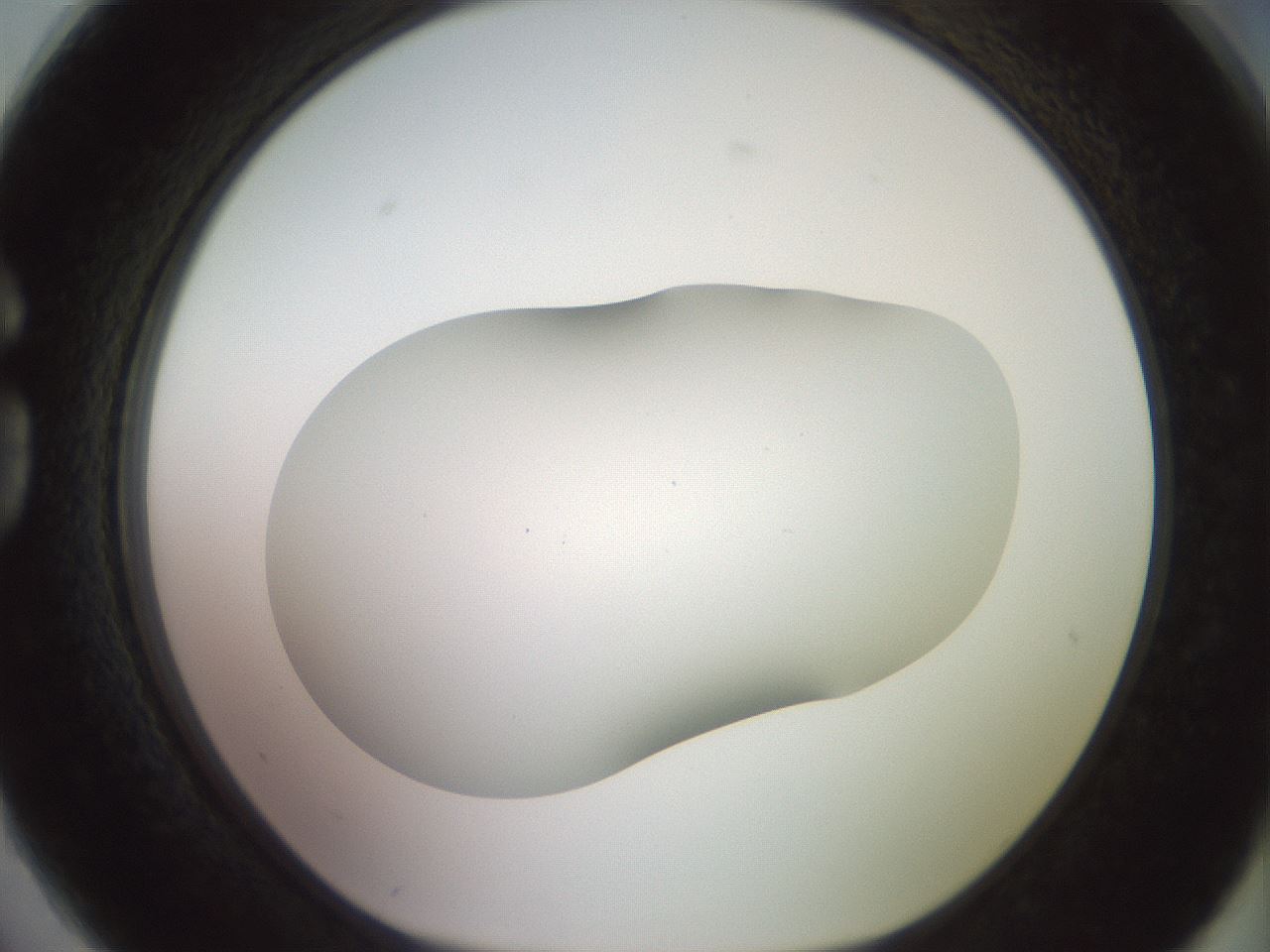 folderID418_plateID2418_batchID11659_wellNum74_profileID1_d1_r179337_ef.jpg
