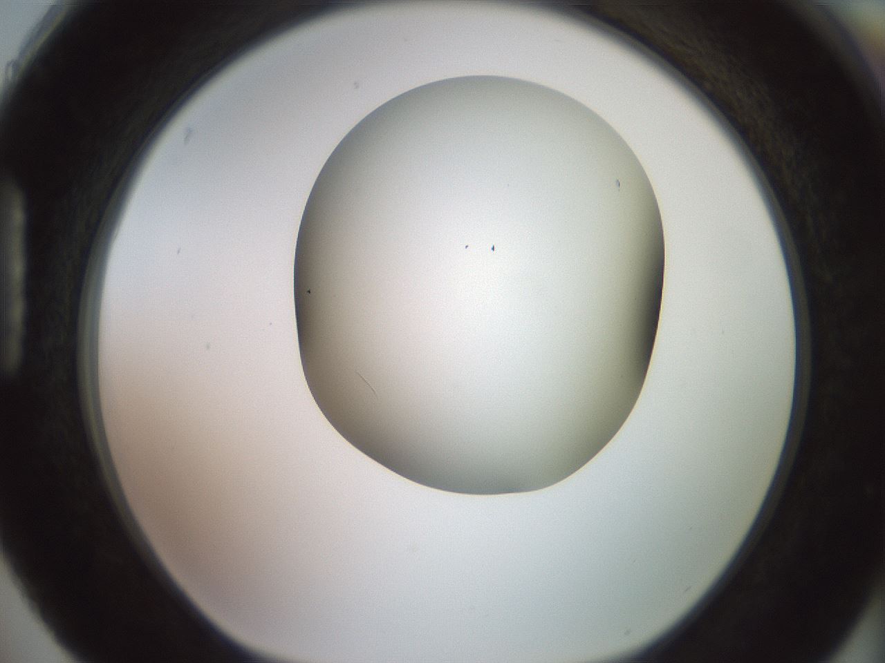 folderID418_plateID2418_batchID11659_wellNum88_profileID1_d1_r179351_ef.jpg