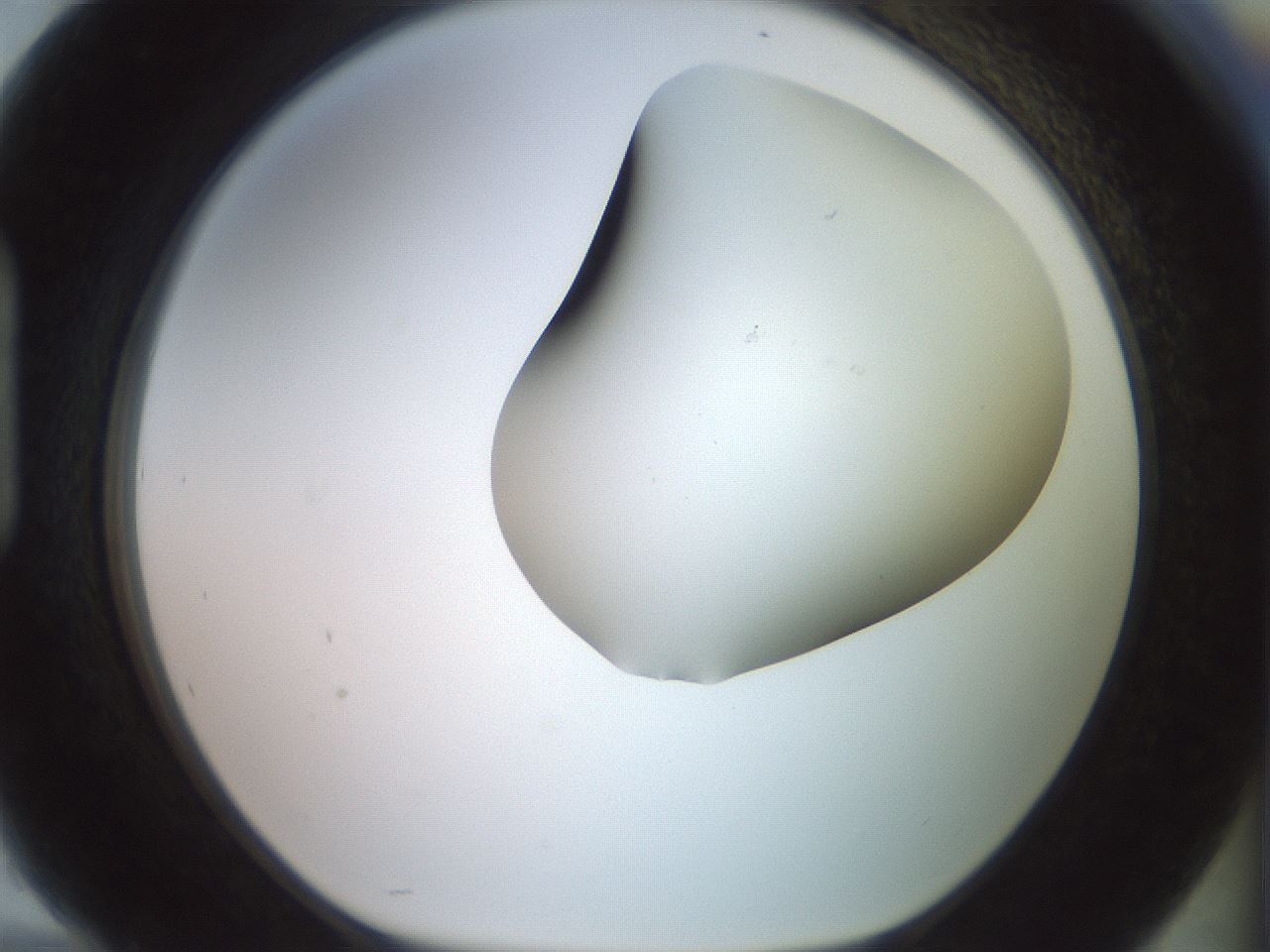 folderID418_plateID2418_batchID11659_wellNum94_profileID1_d1_r179357_ef.jpg