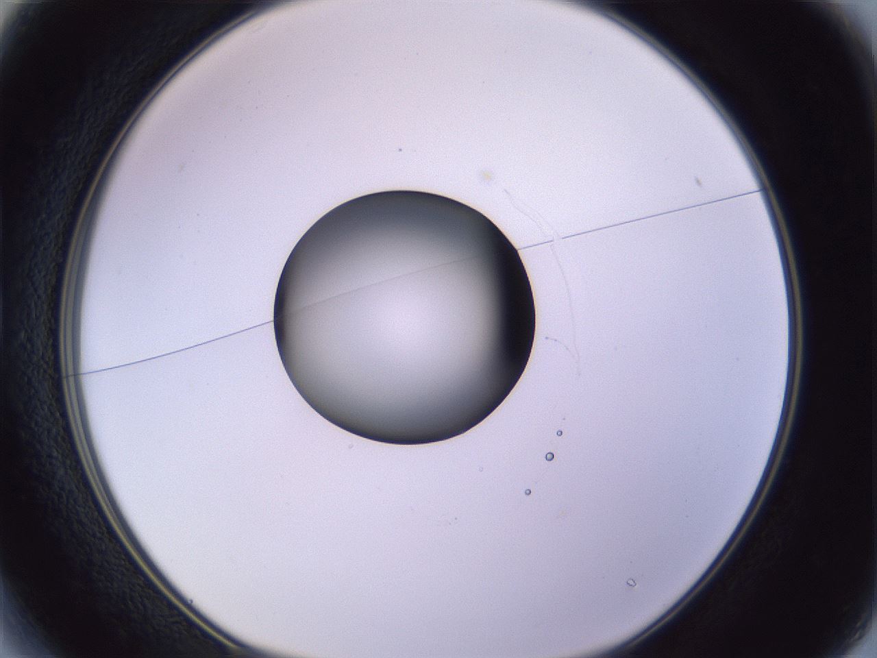 folderID419_plateID1419_batchID5194_wellNum13_profileID1_d1_r87006_ef.jpg