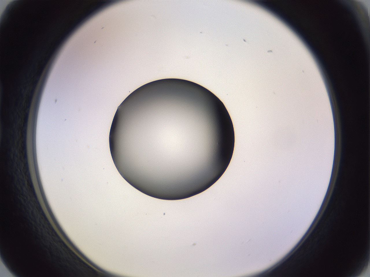 folderID419_plateID1419_batchID5194_wellNum17_profileID1_d1_r87010_ef.jpg