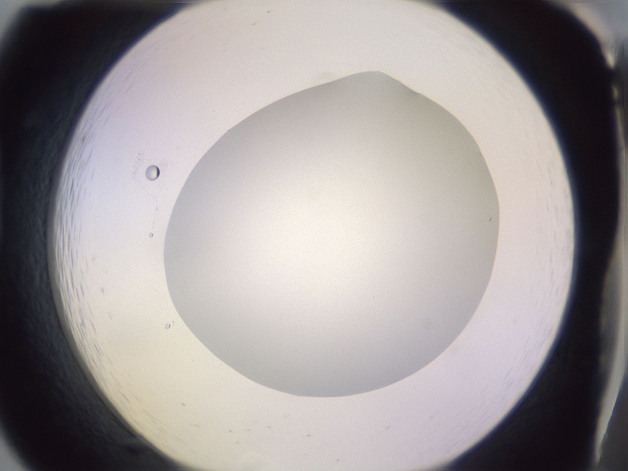 folderID419_plateID1419_batchID5194_wellNum19_profileID1_d1_r87012_ef.jpg