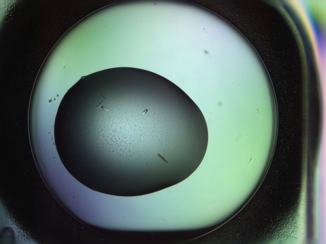 02my_E11_ImagerDefaults_9.jpg