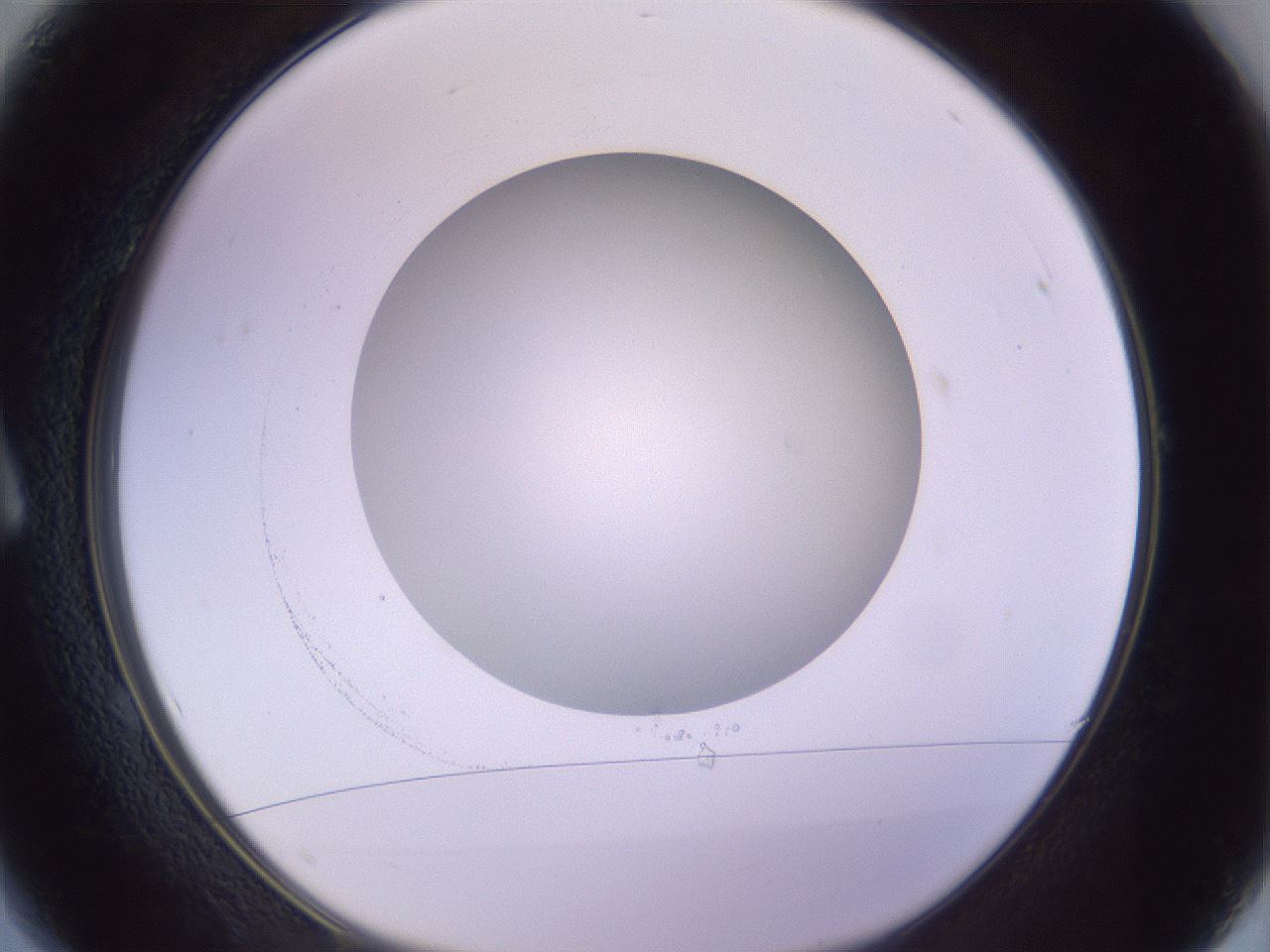 folderID419_plateID1419_batchID5194_wellNum1_profileID1_d1_r86994_ef.jpg
