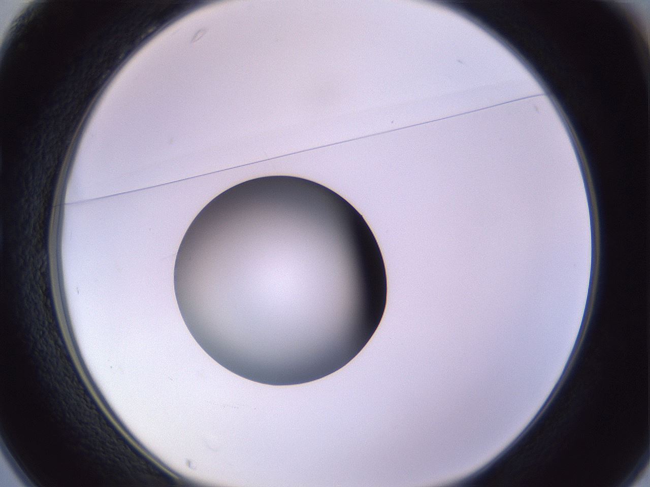 folderID419_plateID1419_batchID5194_wellNum25_profileID1_d1_r87018_ef.jpg