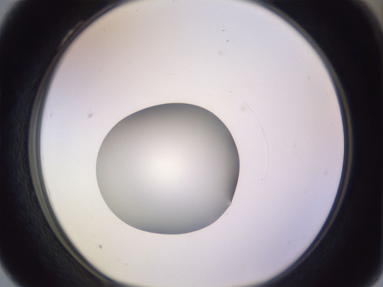 folderID419_plateID1419_batchID5194_wellNum28_profileID1_d1_r87021_ef.jpg