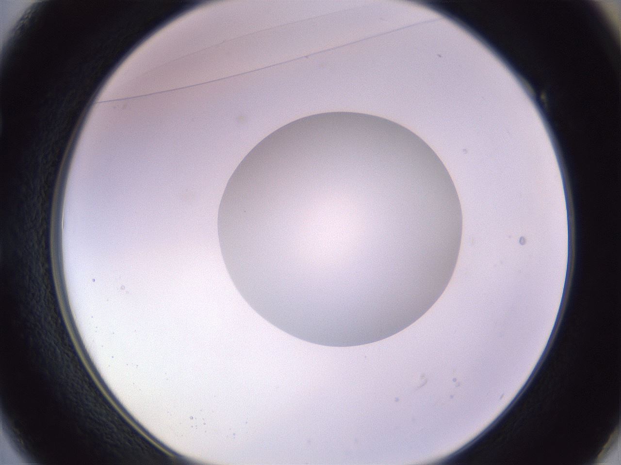 folderID419_plateID1419_batchID5194_wellNum49_profileID1_d1_r87042_ef.jpg