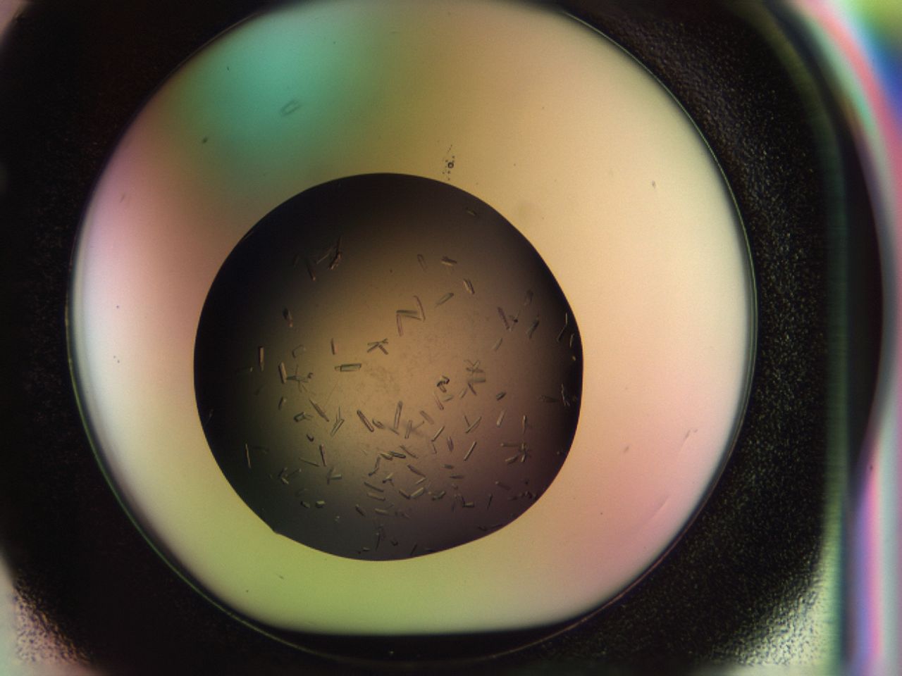 02my_F3_ImagerDefaults_9.jpg