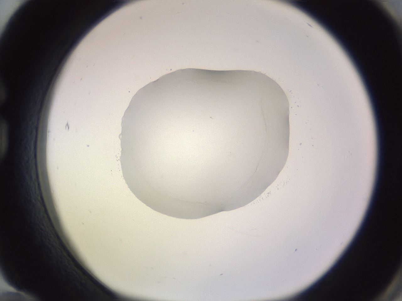 folderID419_plateID1419_batchID5194_wellNum84_profileID1_d1_r87077_ef.jpg