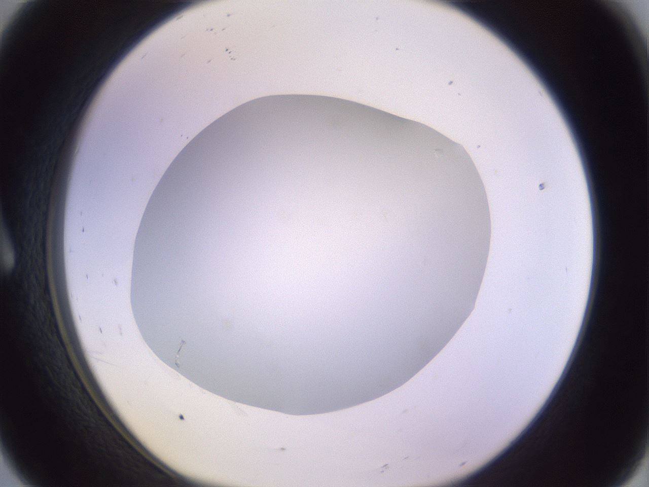 folderID419_plateID1419_batchID5194_wellNum8_profileID1_d1_r87001_ef.jpg