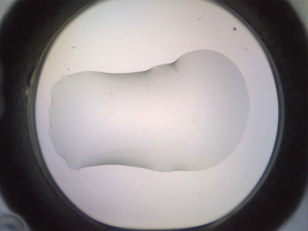 folderID419_plateID2419_batchID11660_wellNum22_profileID1_d1_r179381_ef.jpg